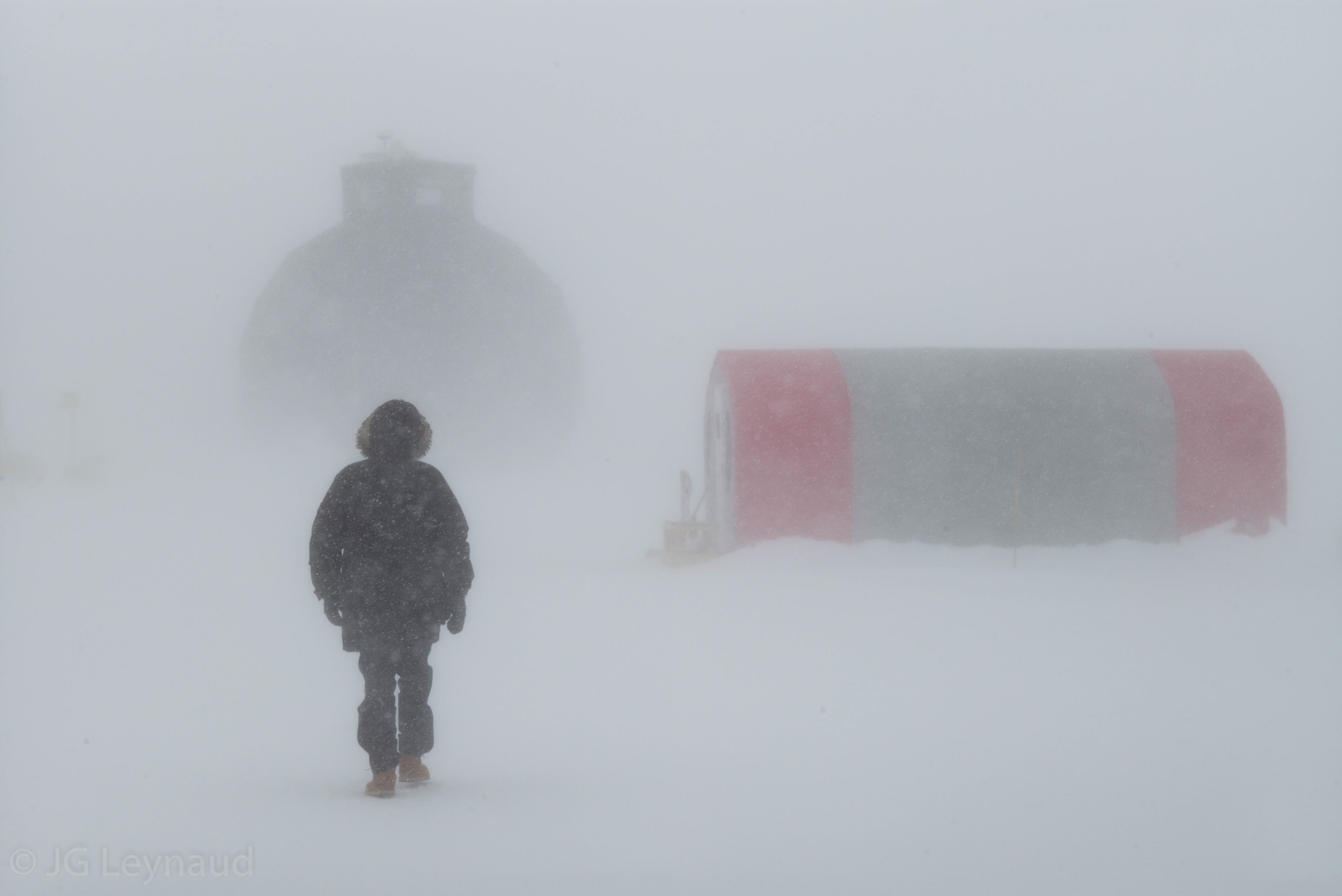 Polar People